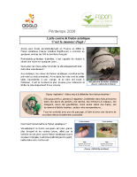 2026.Information_Lutte_Frelon_Asiatique